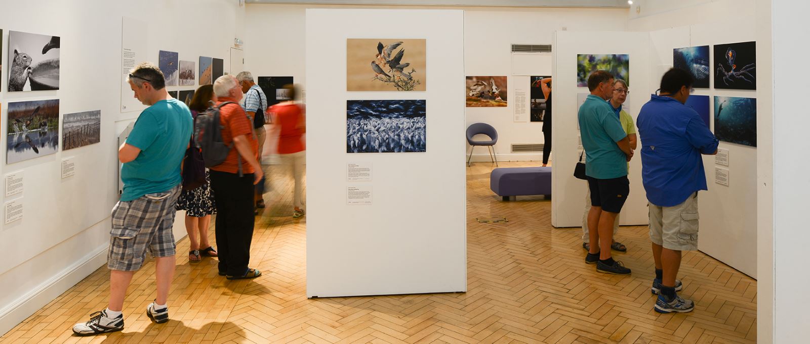 Gosport Museum & Art Gallery